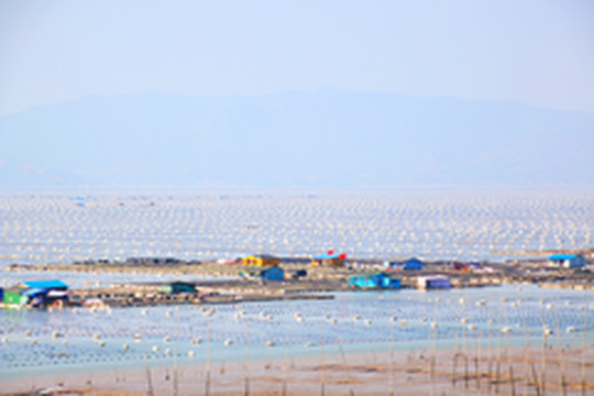 下浒镇游记图片] 海上村庄：海枯石烂的遭遇