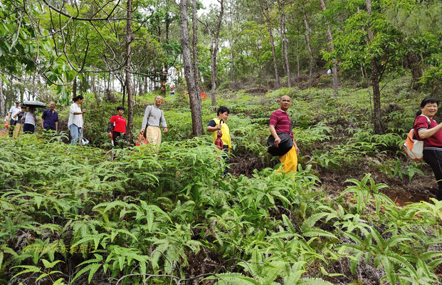 梅县城东书坑村公王寨成了免费景点，原来这里风景不错，而且还有故事