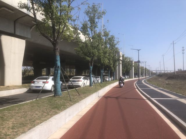 杏湖公园旅行图片 1