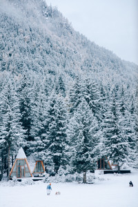 清莱府游记图文-在2023年第一个月，我撞见了一场童话梦。