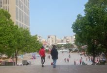泉港植物园景点图片