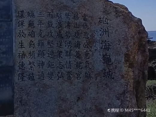 海龟城