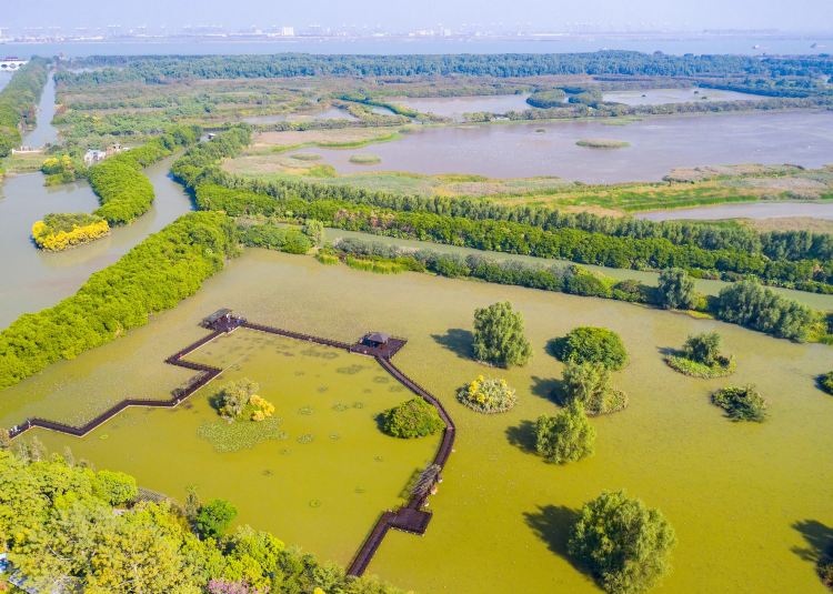 南沙湿地公园景点图片 7