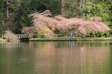 中央公园-本那比