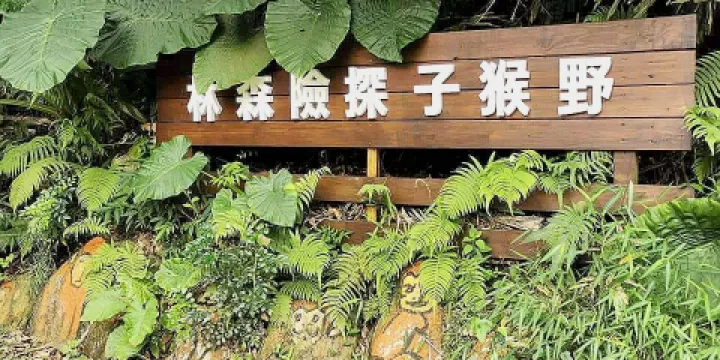 野猴子探險森林