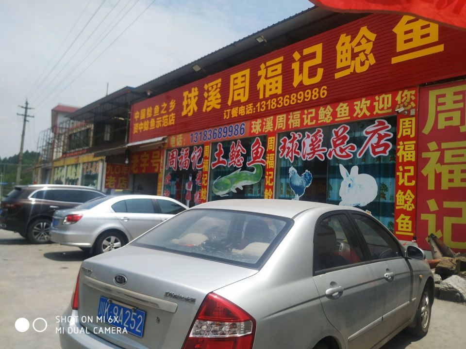 球溪周福记鲶鱼总店