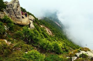 西安夏天如何远离高温？秦岭悦新休闲体验大山自然的清凉！