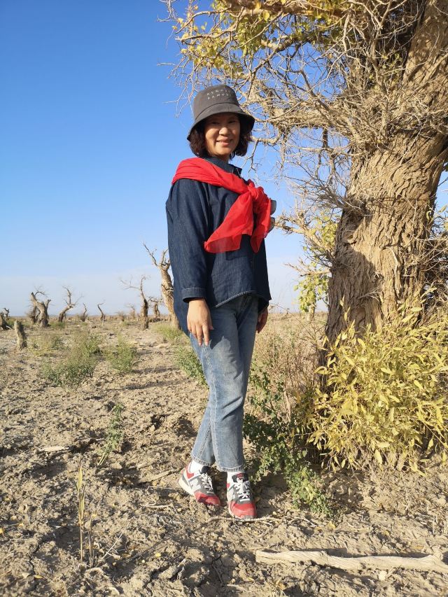 胡杨林旅行图片 3