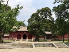 嵩阳景区-登封-听足音