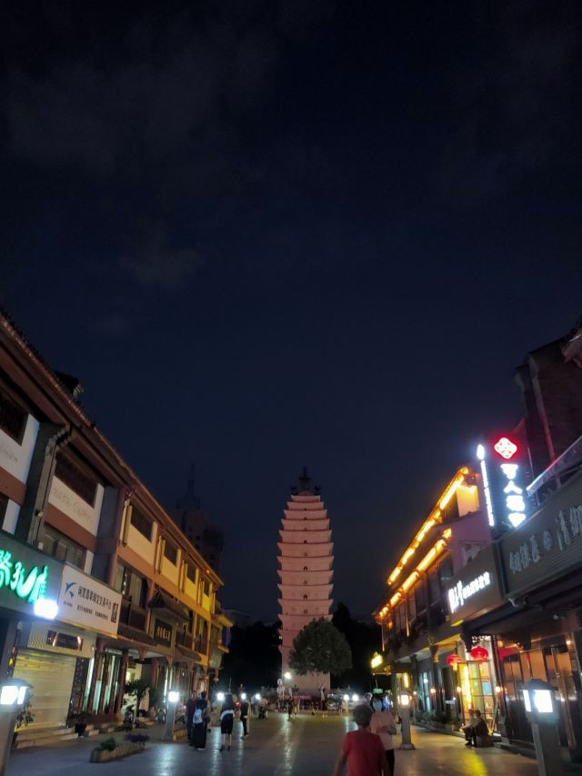 东寺塔茶花园旅行图片 1
