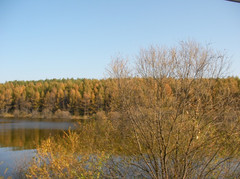 长春游记图片] 十年前的东北旅游回忆——长春