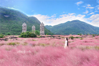 赏粉黛花海、游世外桃源、逛龚滩古镇|这是打开重庆周边游的最佳方式