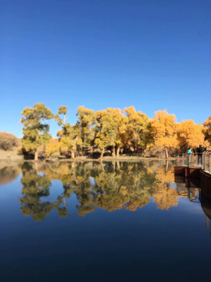 2020秋额济纳银川十日游