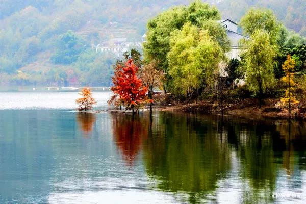 图片拼凑起,瀛湖令人窒息的美
