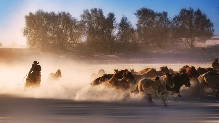 3-day 2-night · Private Tour · China + Inner Mongolia + Chifeng + Wulanbutong Steppe Tourist Area + Mulan Weichang (“Hunting Ground”)