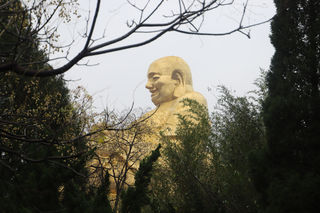 冬日渐浓，遇见济南的晚秋