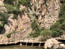 潮音瀑-青岛-Tiger_1962