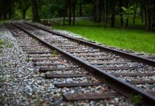 林田山林业文化园区景点图片