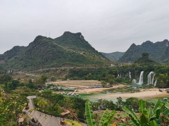 老木棉·紫园景区旅行图片 1
