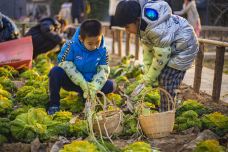 忆江南旅游度假区-荥阳-庚寅兔子