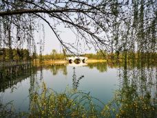 凤凰湖湿地公园-成都-M96****23