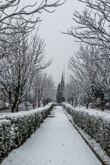 唐城墙遗址公园-西安