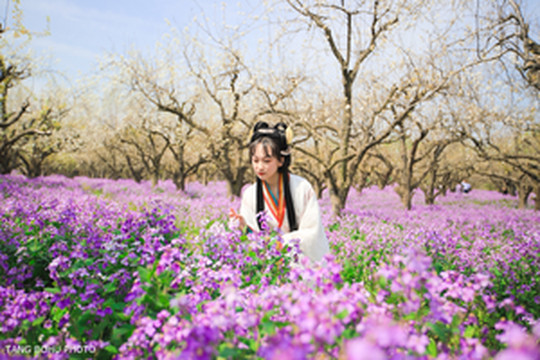 宿迁游记图文-遇见宿迁三台山最美梨兰会，犹如人间仙境，让人醉美其中