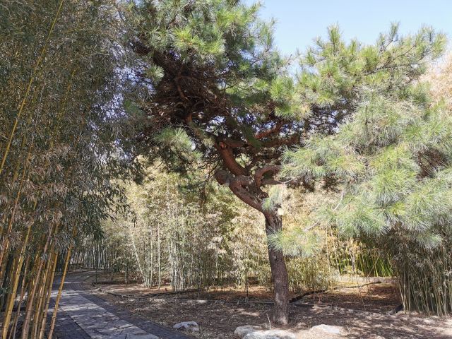 万寿公园旅行图片 1