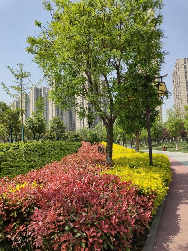 两寺渡公园旅行图片 2