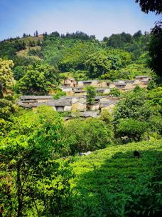 杨家堂村-松阳-八河湾石达开