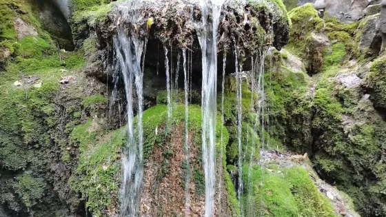 湧泉及湧泉池