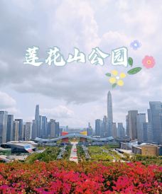 莲花山公园-深圳-飞驰的smart