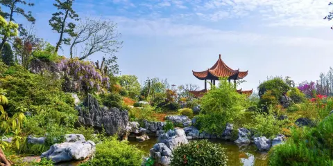 青嵐湖濕地公園