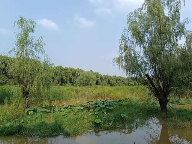 长安城市公园(樊川公园)旅行图片 1