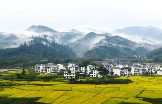 月亮湾旅行图片 1