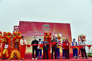 连州以乡村旅游为帆再起航驶向未来周边游蓝海,美丽田园项目开业
