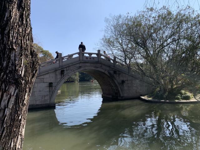 杨浦公园旅行图片 3