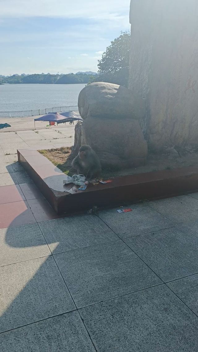 红枫湖旅行图片 1
