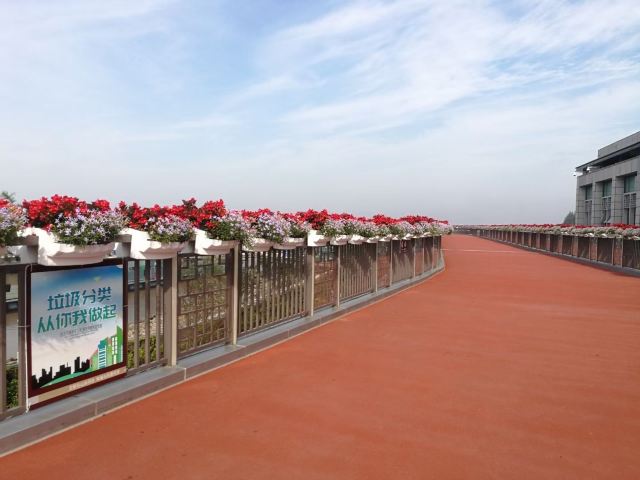 南门景观大堤旅行图片 2