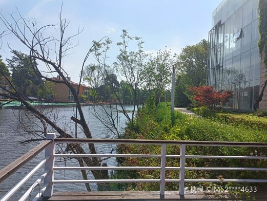 昆明滇池国家旅游度假区-袁晓岑艺术园