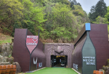 山葡萄酒洞景点图片