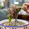 小郎牛牛肉汤馆(珠江路店)