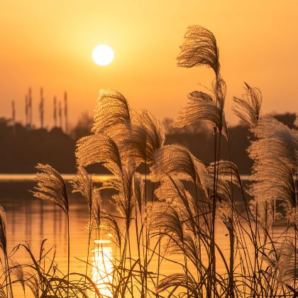 池州+九华山风景区+齐山平天湖景区+九华天池+石台牯牛降+西递+宏村景区+婺源篁岭景区8日7晚私家团