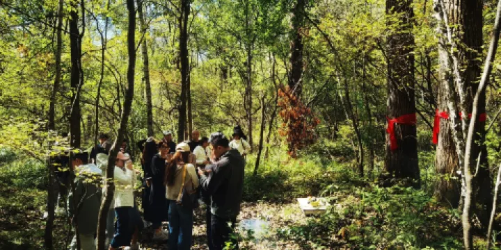 長白山哇酷露營地