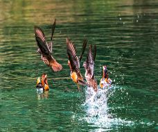 十二背后·清溪峡景区-绥阳-C-IMAGE