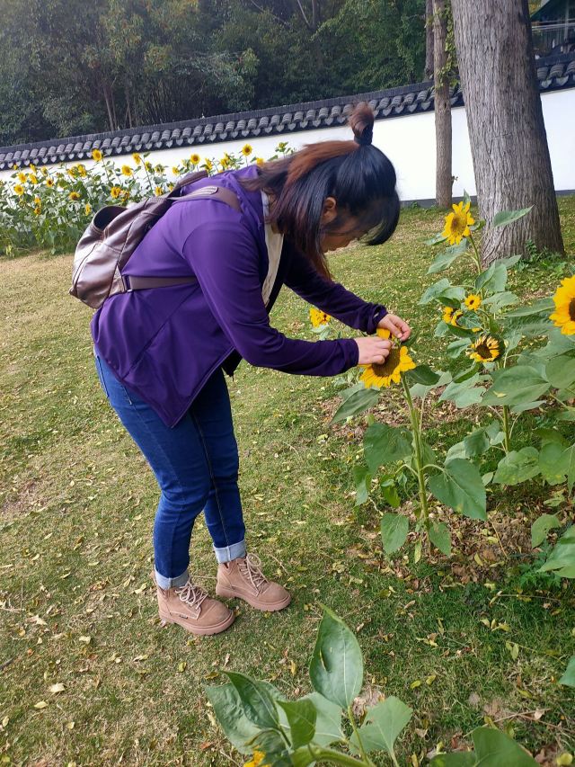 郭兴庄园旅行图片 4