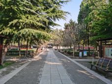 隆兴寺-摩尼殿-正定-努力的三号