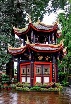 报国寺-峨眉山-轻轻的一个蚊