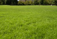 锡林公园景点图片