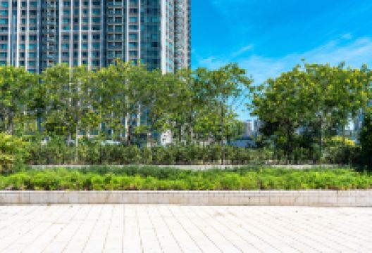 大渡口公园景点图片